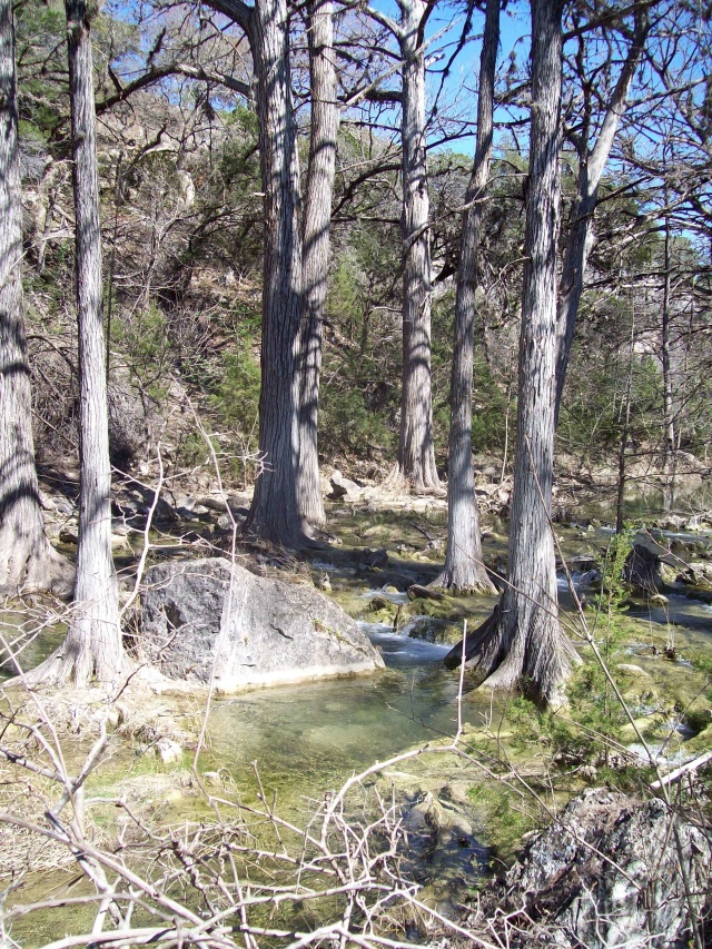 2010-03-12-Hamilton Pool-05.jpg